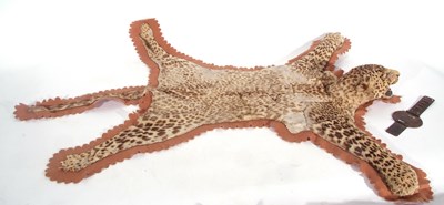 Lot 79 - A Juvenile Leopard (Panthera pardus) skin rug...