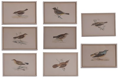 Lot 72 - Eight coloured prints of various bird species,...