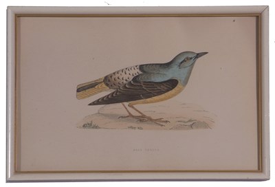 Lot 72 - Eight coloured prints of various bird species,...