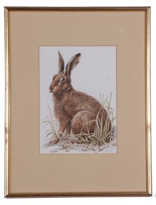 Lot 106 - John Last (British contemporary), Seated hare,...