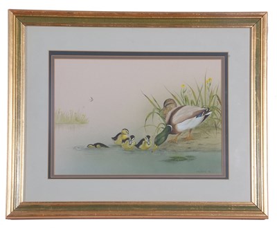 Lot 16 - J.A. Morris (British, 20th century) Mallard...