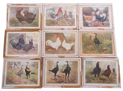 Lot 162 - A quantity of 30 framed poultry breed standard...