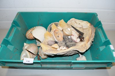 Lot 136 - MIXED LOT:  VARIOUS ASSORTED SEA SHELLS