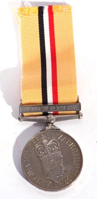 Lot 19 - ERII Operation Telic Iraq war medal and 19...