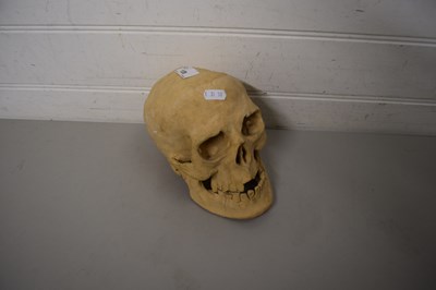 Lot 120 - POTTERY MODEL OF A HUMAN SKULL