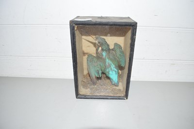Lot 59 - ANTIQUE TAXIDERMY KINGFISHER IN GLAZED CASE,...