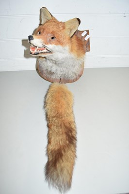 Lot 128 - TAXIDERMY FOX MASK AND BRUSH