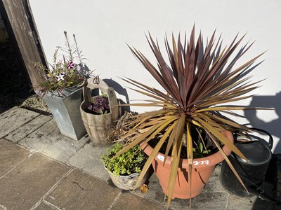 Lot 377 - Mixed lot of various planters to include...