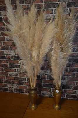 Lot 221 - Pair of brass vases containing pampas grass stems