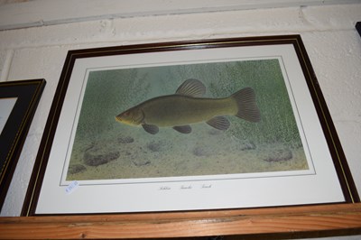 Lot 236 - COLOURED PRINTS OF FISH, PIKE AND TENCH,...