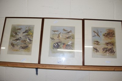 Lot 187 - Three coloured prints after Archibald Thorburn,...