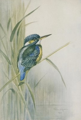 Lot 800 - Roland Green (British 1890-1972), A kingfisher...