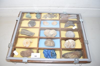 Lot 90 - Case of various assorted fossils