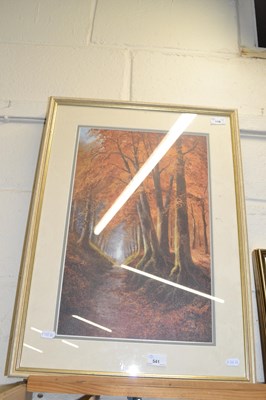 Lot 541 - Coloured print on canvas, woodland scene