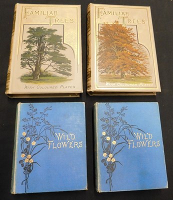 Lot 367 - ANNE PRATT: WILD FLOWERS, London, SPCK, 1893,...