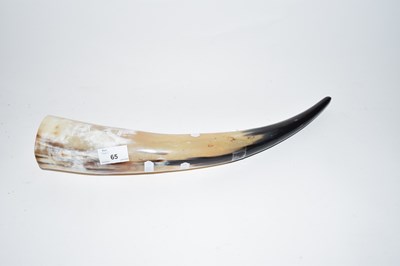 Lot 65 - Polished cows horn