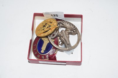 Lot 125 - Box of various Masonic and other pendants