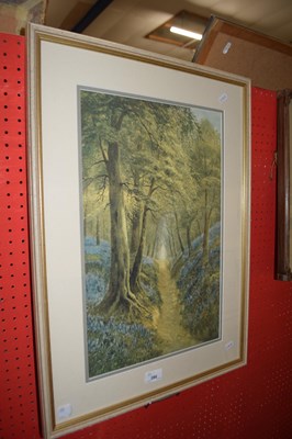 Lot 280 - Daniel Sherrin, study of a bluebell wood,...