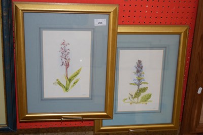 Lot 265 - J E Looke, studies Bugle and Early Purple...