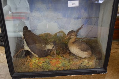 Lot 535 - Antique taxidermy group of a Lapwing and a Dab...