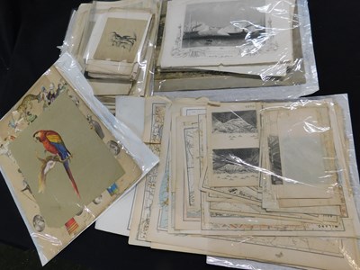 Lot 449 - Box - Good quantity of assorted prints etc...