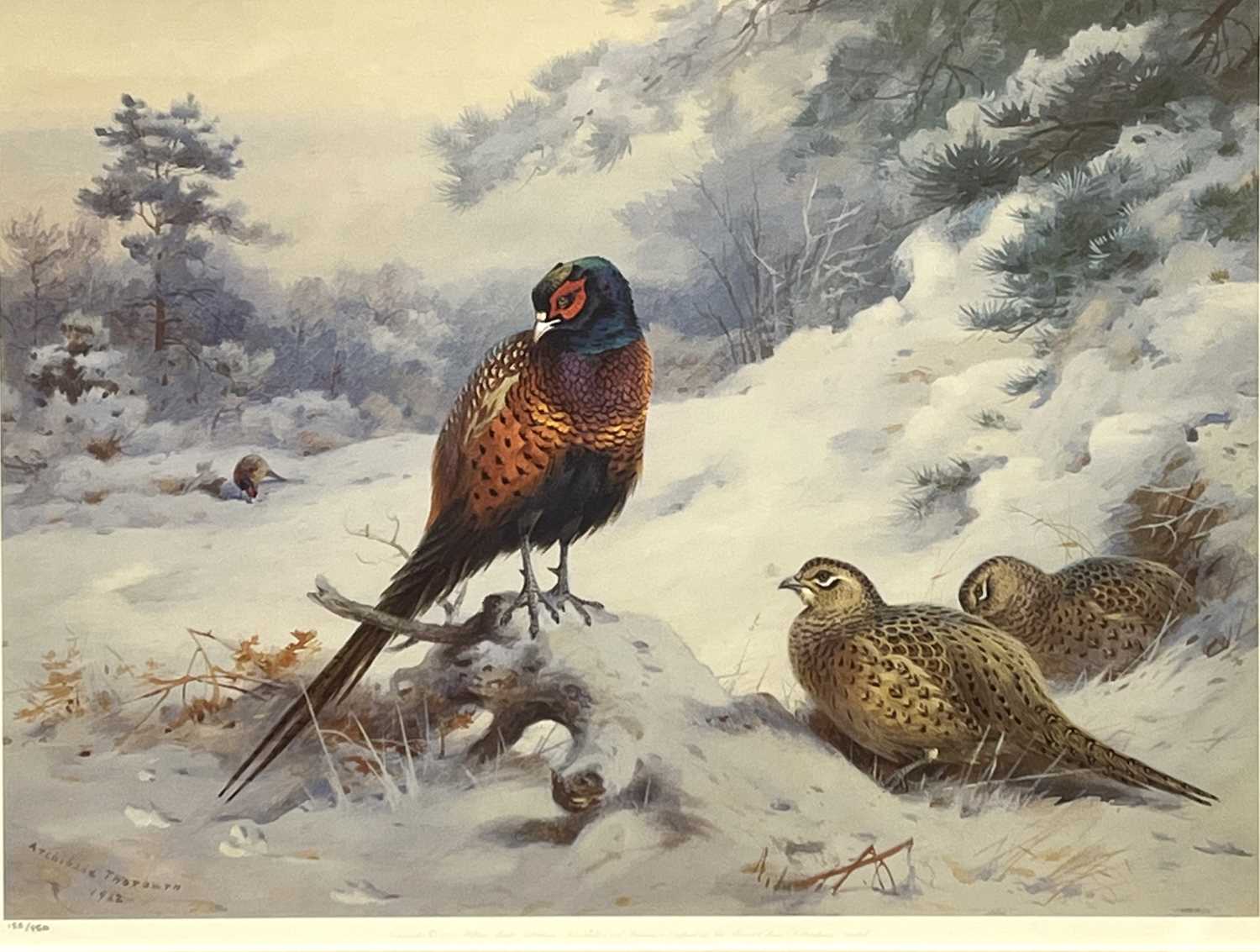 Lot 30 - After Archibald Thorburn (British,1860-1935),...