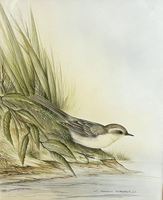 Lot 43 - Andrew Osborne (British) Wagtail by the...