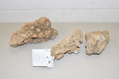 Lot 39 - Three fossilised stalactites from Yacatan...