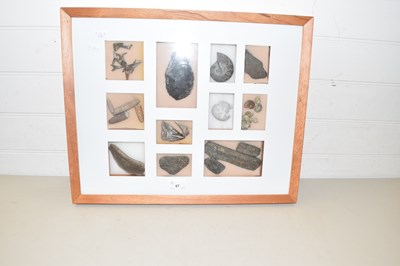 Lot 67 - Framed display of various fossils and a...