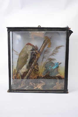 Lot 226 - Taxidermy antique display Green Woodpecker and...