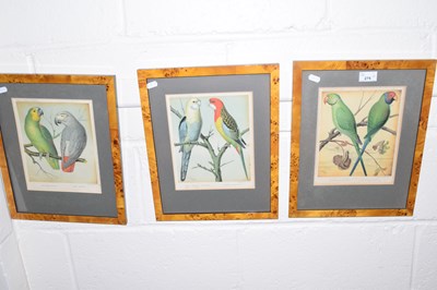 Lot 275 - Three reproduction prints of tropical birds...