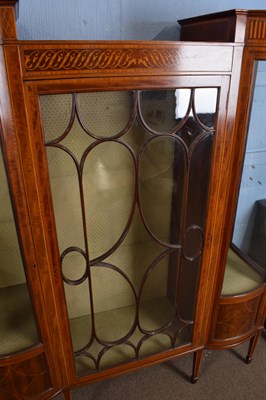 Lot 262 - Good quality Edwardian mahogany display...