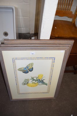 Lot 893 - Three framed botanical and butterfly prints