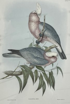 Lot 87 - John Gould and Henry Constantine Richer,...