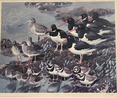 Lot 81 - After Charles Frederick Tunnicliffe...