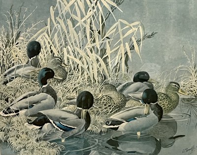 Lot 56 - After Charles Frederick Tunnicliffe...