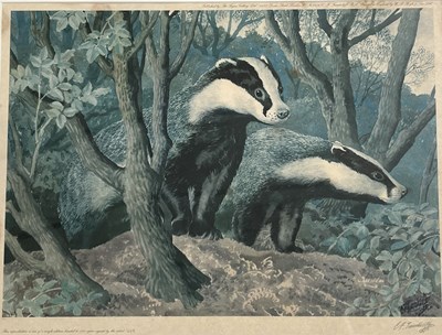 Lot 84 - After Charles Frederick Tunnicliffe...