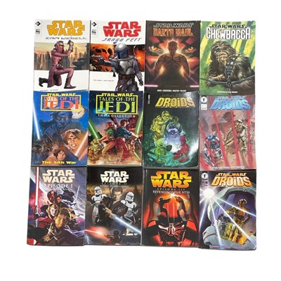 Lot 111 - A collection of Star Wars graphic novels from...