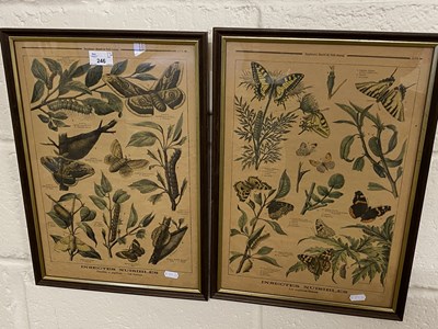 Lot 246 - Two French prints of moths and butterflies,...