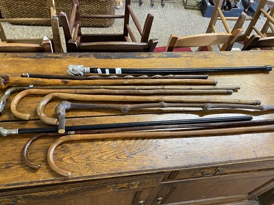 Lot 330 - Mixed Lot: Various walking sticks