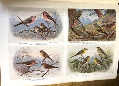 Lot 138 - Handbook of British Birds by Witherby,...