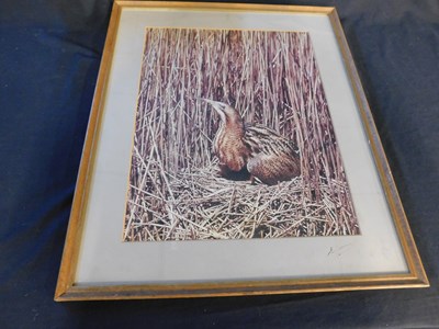 Lot 413 - Eric Hosking, coloured photograph Bittern on...