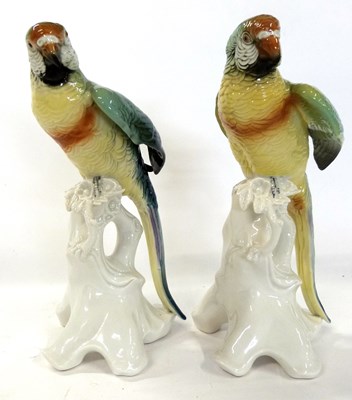 Lot 326 - Pair of continental porcelain parrots by Karl...