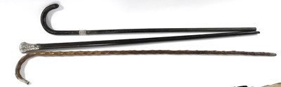 Lot 263 - Group of two walking sticks with white metal...