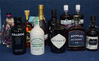 Lot 250 - Eleven bottles of gin to include Tarquins,...