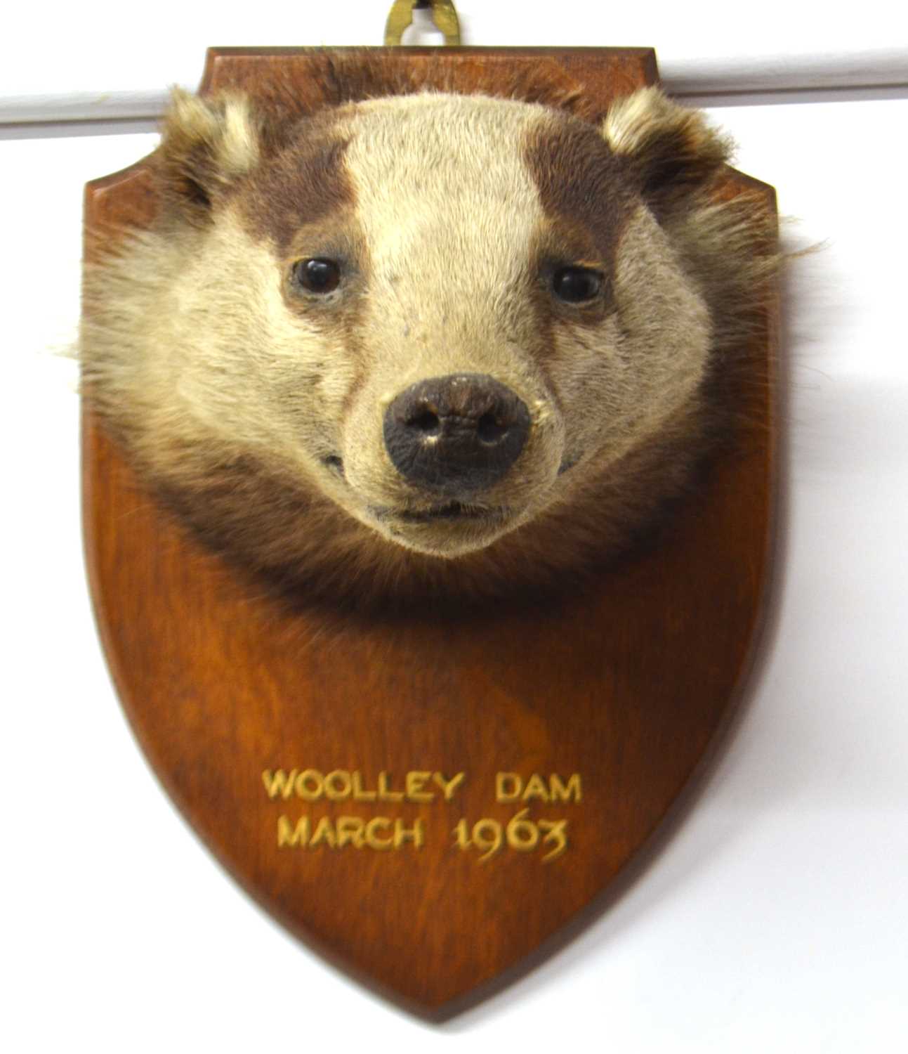 Lot 167 - Mid 20th Century taxidermy mounted European...