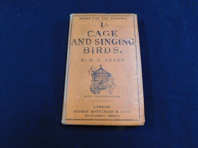 Lot 397 - HENRY GARDINER ADAMS: CAGE AND SINGING BIRDS......