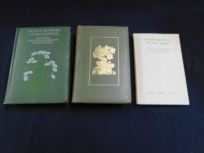 Lot 240 - F KINGDON-WARD: PLANT HUNTING IN THE WILDS,...