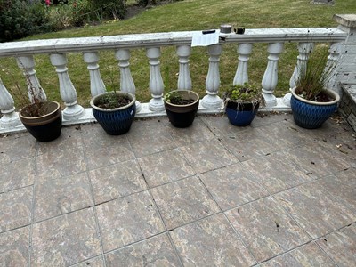 Lot 19 - Five glazed plant pots including contents